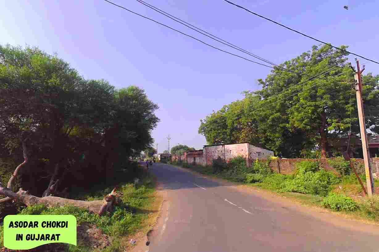 Asodar Chokdi