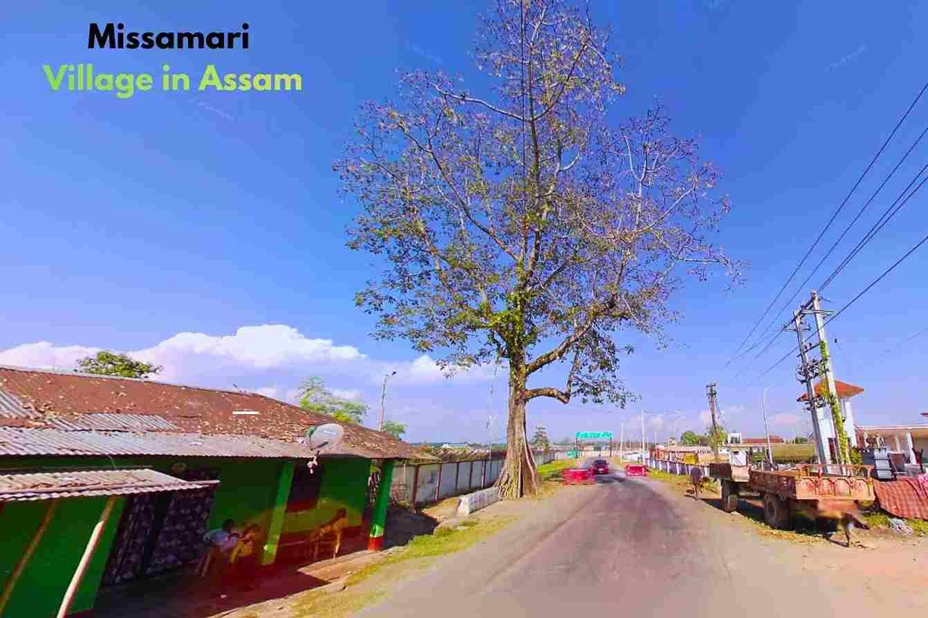 Missamari