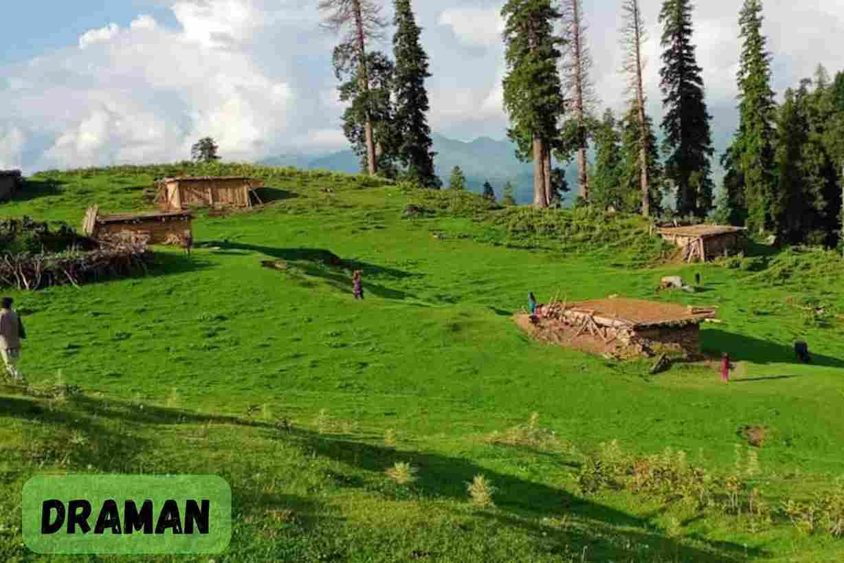 draman