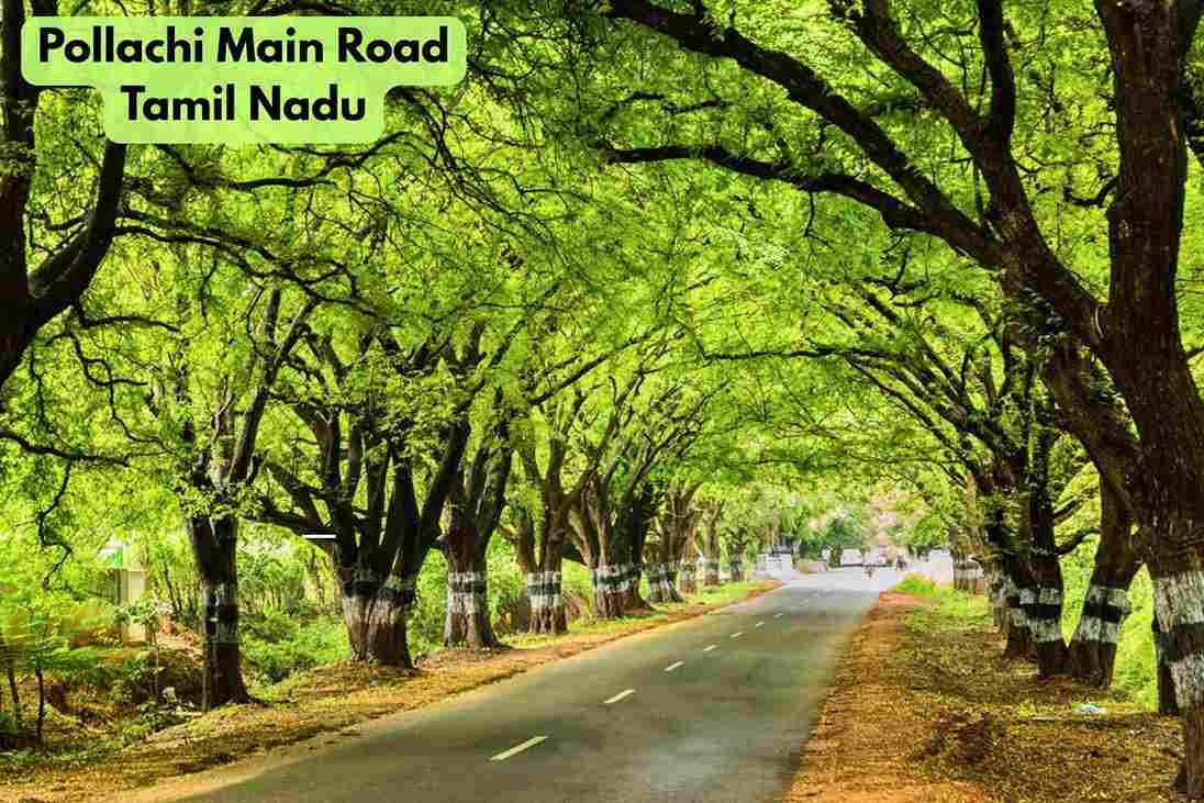 Pollachi Main Road